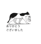 吹き出しに群がる猫2（個別スタンプ：4）