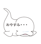 ふきだしろイルカ（個別スタンプ：39）