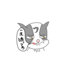 猫罵声（個別スタンプ：26）