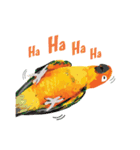 Sun Conure Parrot（個別スタンプ：4）