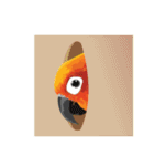 Sun Conure Parrot（個別スタンプ：8）