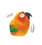 Sun Conure Parrot（個別スタンプ：16）