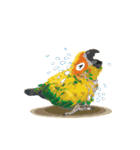 Sun Conure Parrot（個別スタンプ：18）