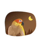 Sun Conure Parrot（個別スタンプ：25）