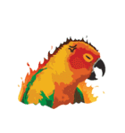 Sun Conure Parrot（個別スタンプ：29）