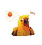 Sun Conure Parrot（個別スタンプ：30）