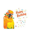 Sun Conure Parrot（個別スタンプ：37）