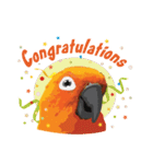 Sun Conure Parrot（個別スタンプ：38）