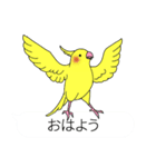 吹き出しと鳥たち（オカメインコ編）（個別スタンプ：4）