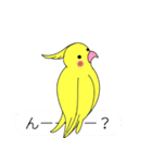 吹き出しと鳥たち（オカメインコ編）（個別スタンプ：14）