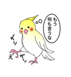 吹き出しと鳥たち（オカメインコ編）（個別スタンプ：30）