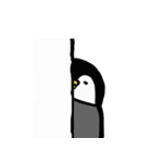 Penguin/Pinguin/Pingouin（個別スタンプ：29）