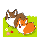 Sphere Corgi（個別スタンプ：1）