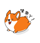 Sphere Corgi（個別スタンプ：3）