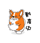 Sphere Corgi（個別スタンプ：4）