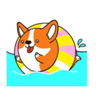 Sphere Corgi（個別スタンプ：6）