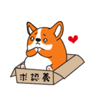 Sphere Corgi（個別スタンプ：11）