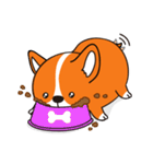 Sphere Corgi（個別スタンプ：12）