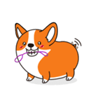 Sphere Corgi（個別スタンプ：13）