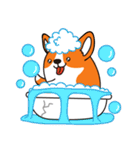 Sphere Corgi（個別スタンプ：16）