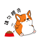 Sphere Corgi（個別スタンプ：21）