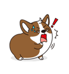 Sphere Corgi（個別スタンプ：23）