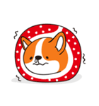 Sphere Corgi（個別スタンプ：24）