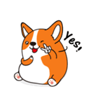 Sphere Corgi（個別スタンプ：28）