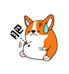 Sphere Corgi（個別スタンプ：34）