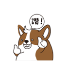 Sphere Corgi（個別スタンプ：35）