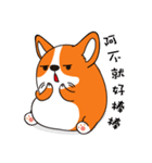 Sphere Corgi（個別スタンプ：38）