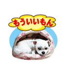 ももちゃんスタンプ（個別スタンプ：23）