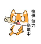 Naughty Shiba Inu (Shiba-Dog)2（個別スタンプ：14）