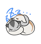 モモンガ日和（個別スタンプ：9）