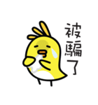 Birdy's Classroom: Perfect Tense（個別スタンプ：5）