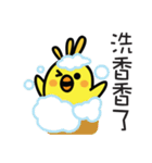 Birdy's Classroom: Perfect Tense（個別スタンプ：36）