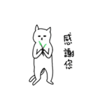 hi Super White cat 2（個別スタンプ：6）