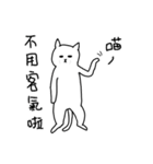 hi Super White cat 2（個別スタンプ：7）