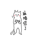 hi Super White cat 2（個別スタンプ：8）