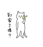 hi Super White cat 2（個別スタンプ：13）