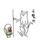 hi Super White cat 2（個別スタンプ：16）