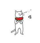 hi Super White cat 2（個別スタンプ：21）