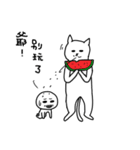 hi Super White cat 2（個別スタンプ：23）