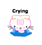 折れ耳猫 みぃーみん（個別スタンプ：31）