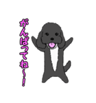 喋るMIX犬「サスケ」（個別スタンプ：1）