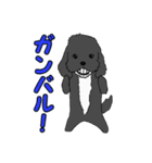 喋るMIX犬「サスケ」（個別スタンプ：2）