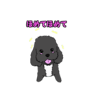喋るMIX犬「サスケ」（個別スタンプ：3）
