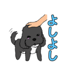 喋るMIX犬「サスケ」（個別スタンプ：4）