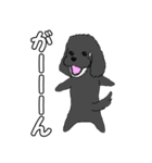 喋るMIX犬「サスケ」（個別スタンプ：5）