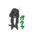 喋るMIX犬「サスケ」（個別スタンプ：6）